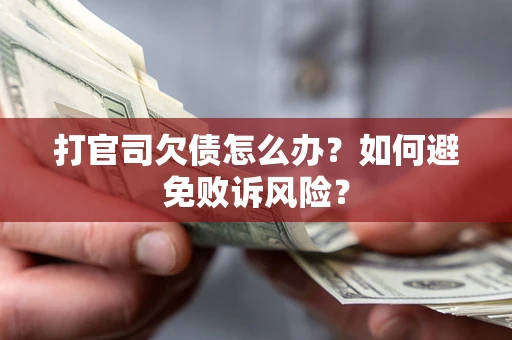 北京打官司欠债怎么办？如何避免败诉风险？
