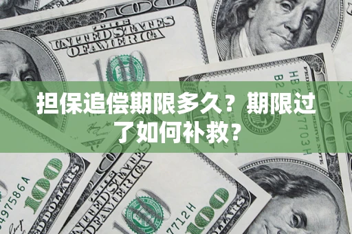 北京担保追偿期限多久？期限过了如何补救？