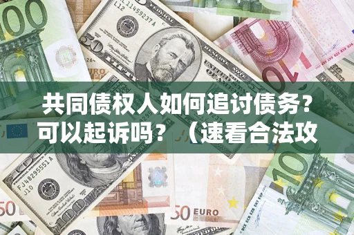 北京共同债权人如何追讨债务？可以起诉吗？（速看合法攻略）