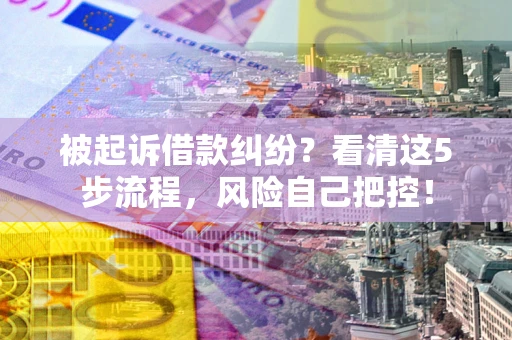 北京被起诉借款纠纷？看清这5步流程，风险自己把控！